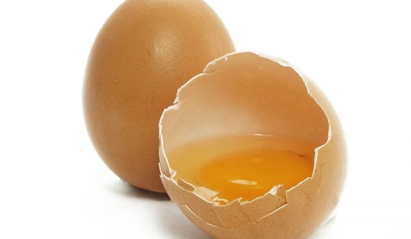 calcium carbonate egg shell waste